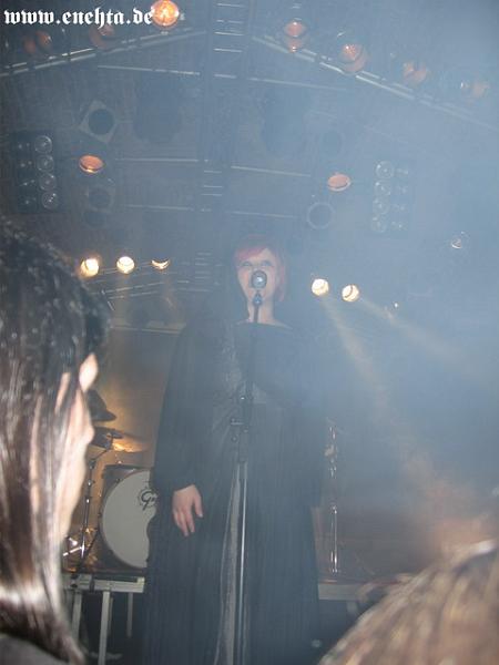 Lame Immotrelle vom 20.02.2008-002.jpg